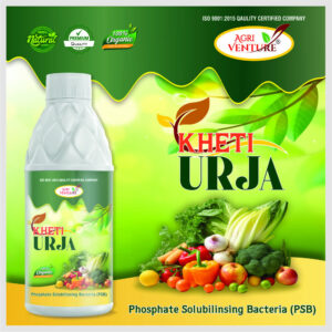AgriVenture KHETI URJA ( PSB Phosphate Solubilizing Bacteria ) (1Ltr)