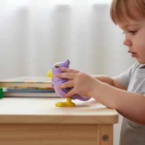 Key Operated Jumping Bird Toy for Kids (1 Pc)