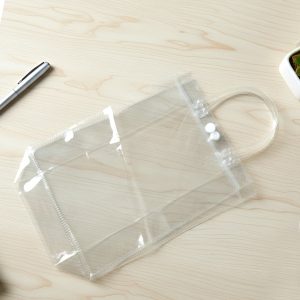 Transparent PVC Carry Bag (1 Pc, 22 x 16 Cm)