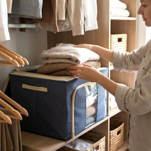 Foldable Cloth Storage Box 50x40 Cm