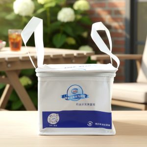 Portable Insulated Lunch Bag with Zipper Closure 16x19x21 Cm