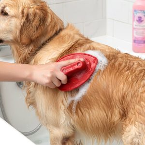 Premium Plastic Pet Bath Brush Soft Grooming Scrubber (1 Pc)