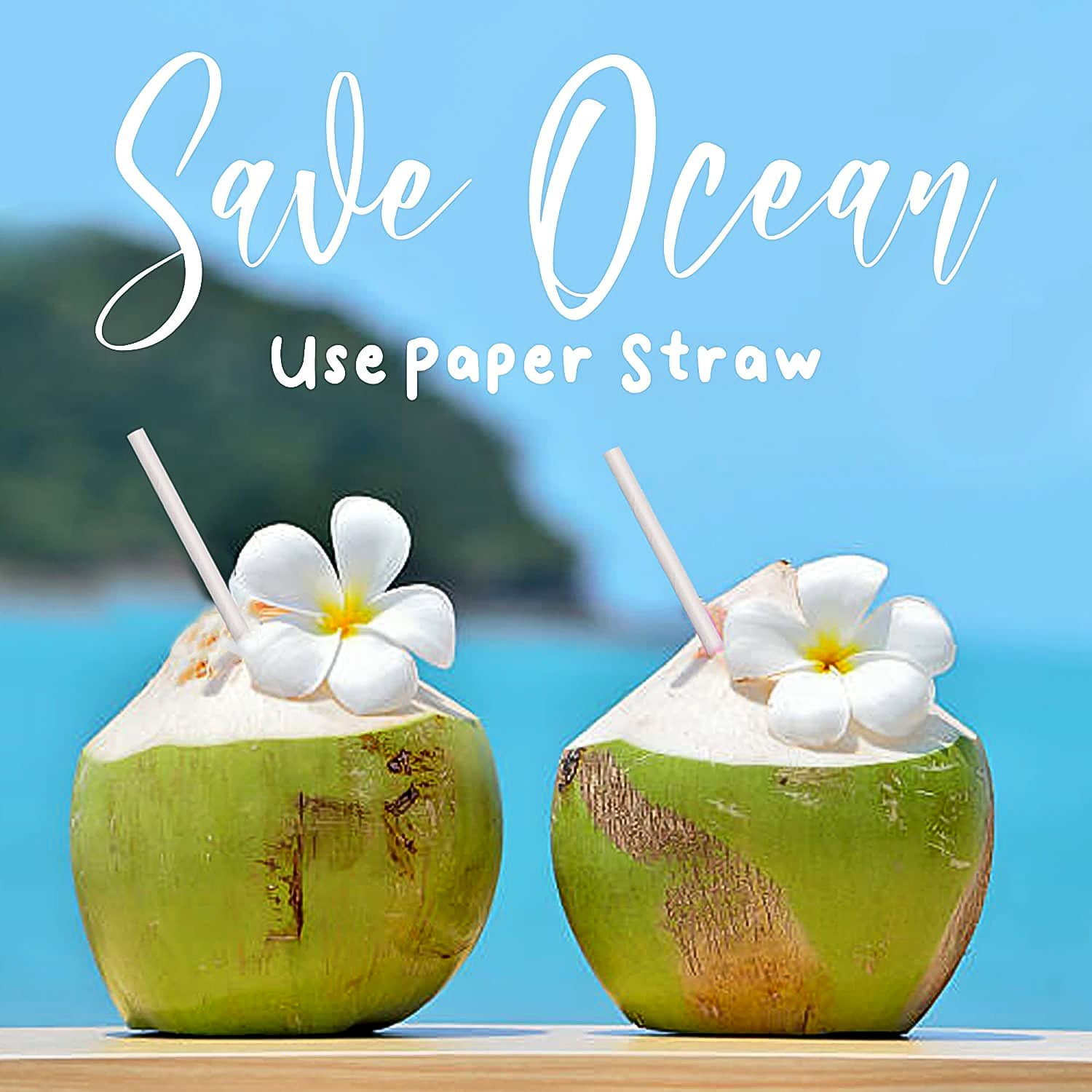 Paper Straw – Plain 6 mm Diameter, 200 mm Length, 50 Pcs Pack - Image 3