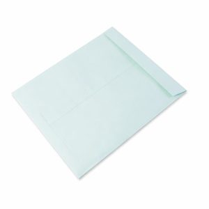 Polynet Premium Card Large Document Envelope  (30x39cm, 1 Pc)