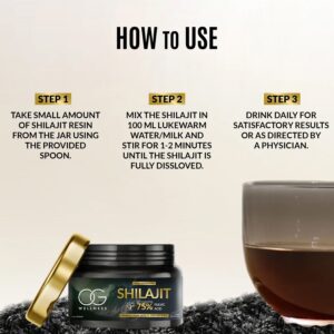 OG Wellness Pure Himalayan Shilajit Resin (20 GM / 1 Pc)