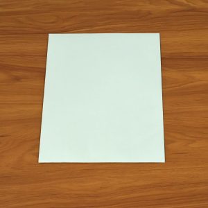 Polynet Premium Card Envelope (28x15cm, 1 Pc)