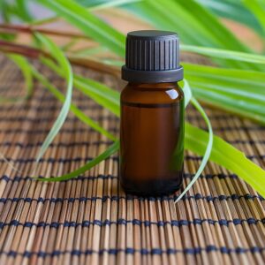 Premium Aroma Diffuser Essential Oil (10ML / 1 Pc)