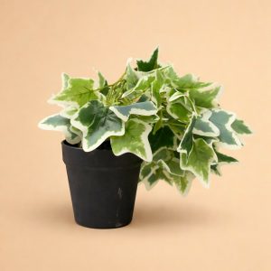 Artificial Ivy Leaf Tabletop Plant with Pot for Home & Office Décor