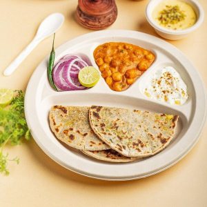 Vegnar 4 Compartment Disposable Food Serving Plate Set (10 Pc)