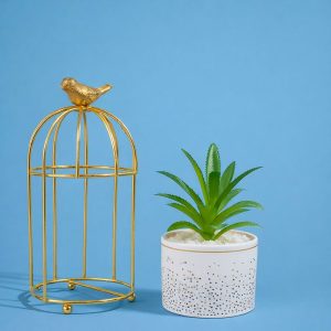 Golden Bird Cage Tabletop Planter with Decorative Pot(Color may vary)