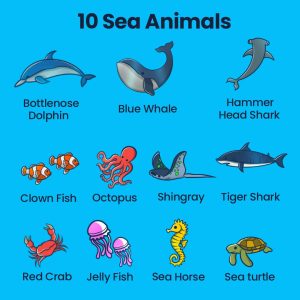 SEA MYSTERY PUZZLE LET'S FIND OUT - AGE 3+ (38 PUZZLE PIECES) MDF PUZZLE SERIES