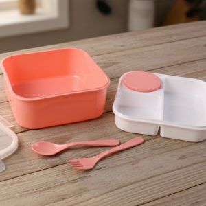 Hungry Lunch Box Combo Set – Unbreakable Plastic Lunch Box with Spoon, Fork & Extra Container for Kids