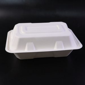 Vegnar Premium Bagasse Clamshell Food Box (10 Pc, 9x6 Inch)