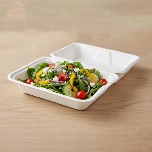 Vegnar Premium Bagasse Clamshell Food Box (10 Pc, 9x6 Inch)