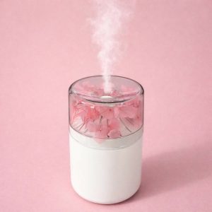 USB Portable Flower Humidifier Diffuser for Desk Home Office (Color may vary)