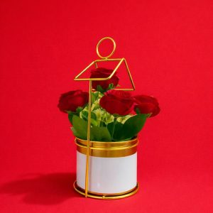 Gold Geometric Tabletop Planter with Decorative Pot