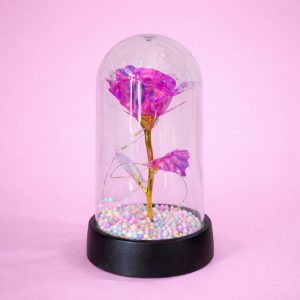 LED Rose Dome Lamp with Decorative Base for Bedroom & Table Decor