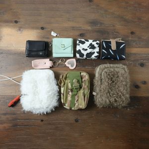 Stylish Mini Coin Purse & Card Holder Wallet with Keychain (1 Pc, Mix Design)