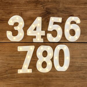 Mix Design LED Decorative Night Light (1 Pc)