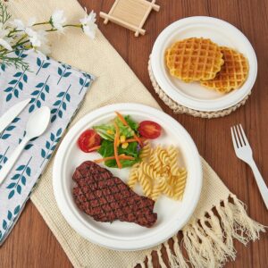 Freshee 9 Inch Compostable Bagasse Plate (10 Pc)