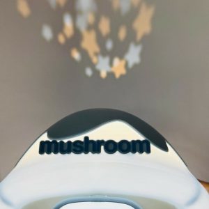 Cute Mushroom House LED Night Lamp with Cartoon Figure for Kids Room