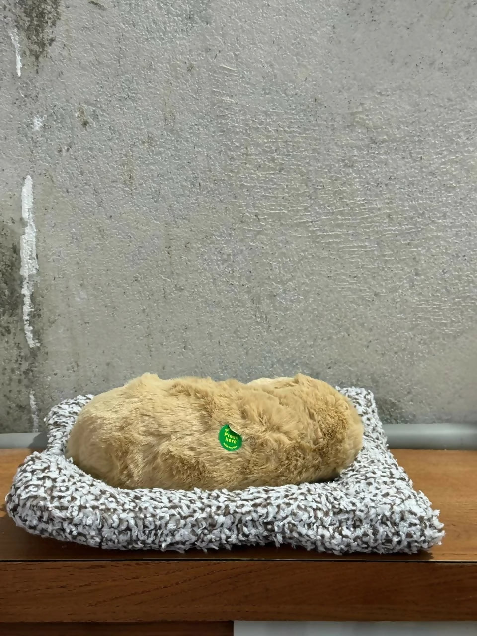 Realistic Sleeping Puppy Showpiece with Soft Cushion | Cute Decorative Puppy Figurine for Home, Office & Kids Room | Lifelike Pet Puppy Model Gift Toy for Decoration, Gifting & Table Display | Adorable Faux Puppy Ornament - Image 4