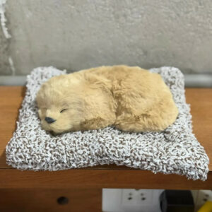 Realistic Sleeping Puppy Showpiece with Soft Cushion | Cute Decorative Puppy Figurine for Home, Office & Kids Room | Lifelike Pet Puppy Model Gift Toy for Decoration, Gifting & Table Display | Adorable Faux Puppy Ornament