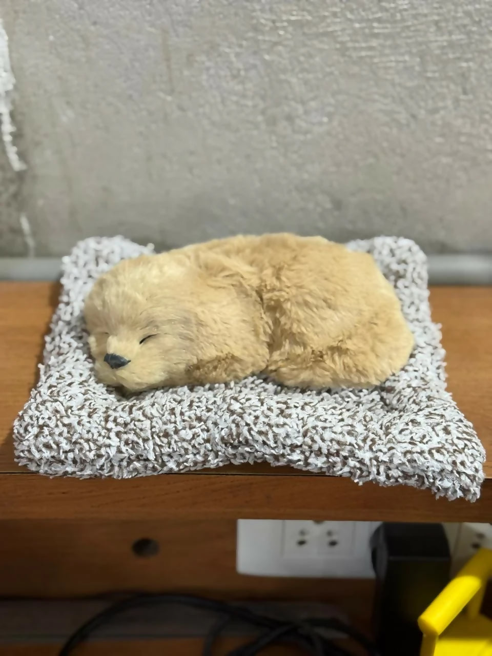 Realistic Sleeping Puppy Showpiece with Soft Cushion | Cute Decorative Puppy Figurine for Home, Office & Kids Room | Lifelike Pet Puppy Model Gift Toy for Decoration, Gifting & Table Display | Adorable Faux Puppy Ornament - Image 3