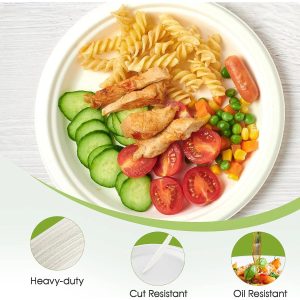 Vegnar Disposable Round Food Serving Plate (10 Pc)