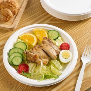 Vegnar Disposable Round Food Serving Plate (10 Pc)