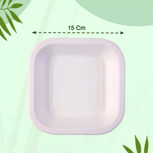 Disposable Square Food Serving Tray Set (10 Pc)