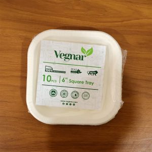 Disposable Square Food Serving Tray Set (10 Pc)