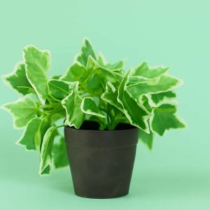 Artificial Ivy Leaf Tabletop Plant with Pot for Home & Office Décor