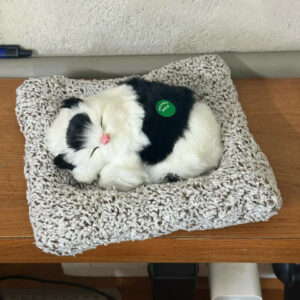 Sleeping Cat Car Dashboard Decor Soft Toy Showpiece for Home & Office