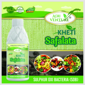 AgriVenture KHETI SAFALATA Sulphur Oxi Bacteria Organic Soil Fertility Enhancer 1 LTR