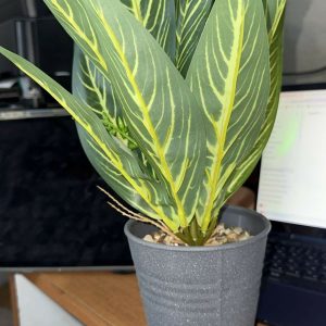 Artificial Decorative Tabletop Plant with Pot for Home & Office Décor