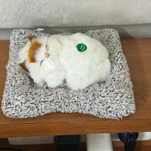 Sleeping Cat Soft Toy Dashboard Decor with Cushion, Cute Plush Showpiece