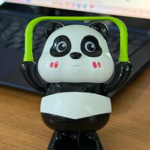Wind-Up Jumping Panda Toy with Moving Arms for Kids