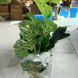 Artificial Monstera Leaf Plant with Pot for Home & Office Table Décor