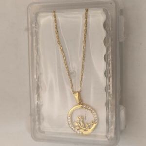 Gold Plated AD Circle Pendant Necklace For women and girls