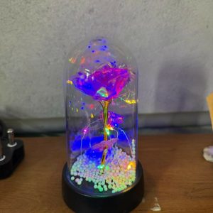 LED Rose Dome Lamp with Decorative Base for Bedroom & Table Decor