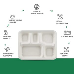 5-Compartment Rectangle Lunch Compostable Bagasse Plate – 10 Pcs Pack
