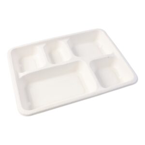 5-Compartment Rectangle Lunch Compostable Bagasse Plate – 10 Pcs Pack