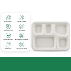 5-Compartment Rectangle Lunch Compostable Bagasse Plate – 10 Pcs Pack