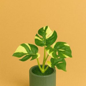 Artificial Monstera Leaf Tabletop Plant with Decorative Pot for Home Décor