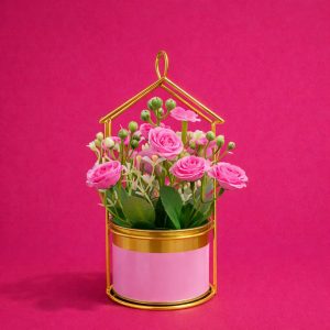 Gold House Frame Tabletop Planter with Decorative Pot(Color may vary)
