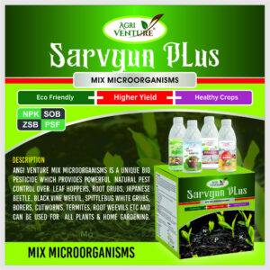 AgriVenture SARVGUN PLUS ( Mix Micro Organisms – NPK + SOB + ZSB + PSF ) Bacterial Products 2LTR