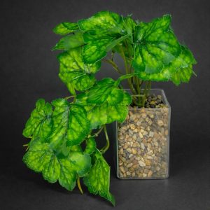 Artificial Trailing Leaf Plant in Clear Pot for Home & Office Table Décor