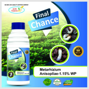 AgriVenture FINAL CHANCE ( METARHIZIUM ) - Bacterial Products for White Grub 1LTR ( METARHIZIUM )