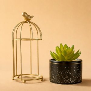 Golden Bird Cage Tabletop Planter with Decorative Pot(Color may vary)